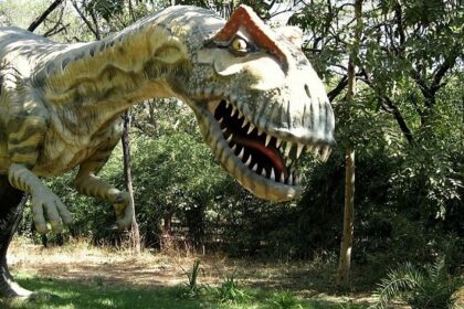 An image showing a sculpture of a dinosaur at one of the top dinosaur museums in India.