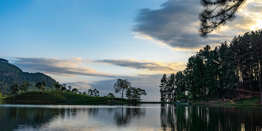 A picture of a serene lakeside at sunset with pine trees.