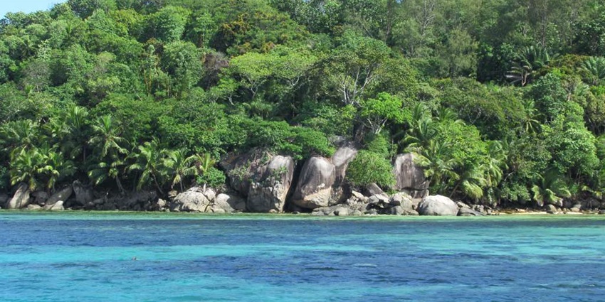 Seeing the giant tortoises on Moyenne Island must be on your list of things to do in Seychelles in July.