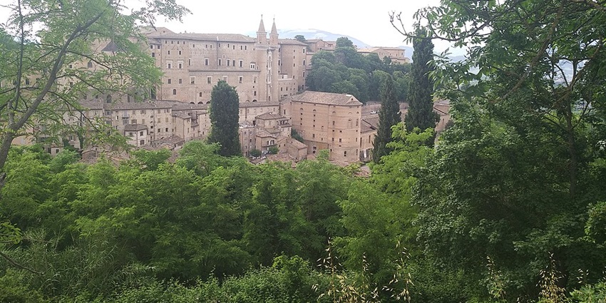 image of the historic Doge's Palace surrounded by the lush green trees and hills