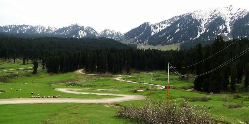 An image of Doodhpathri in Jammu and Kashmir, a destination for trekking in India.