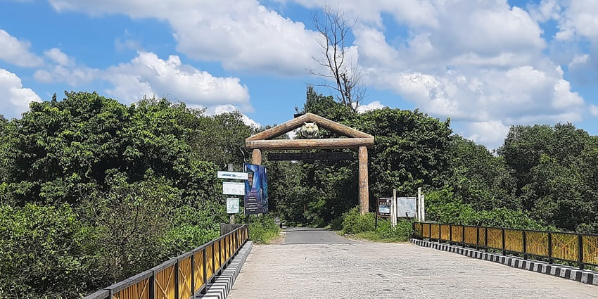 A picture of the Dudhwa, visiting this is one of the best things to do in Uttar Pradesh.