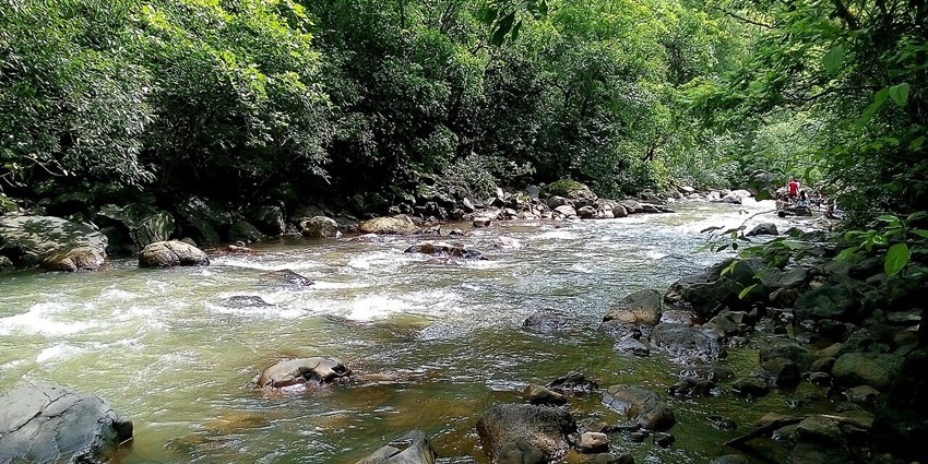 Dense forest frames the serene Dugarwadi Waterfall cascading into a lush pool