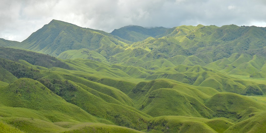 A picture of lush mountains spread across the Dzukou Valley in Nagaland