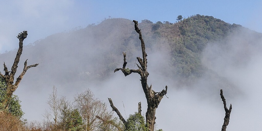 An image of Eaglenest Wildlife Sanctuary with diverse flora and fauna in the landscape