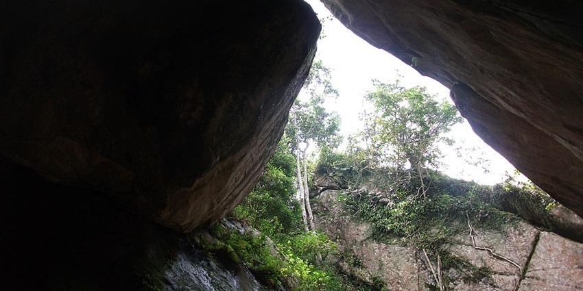 Edakkal cave with big stones making a cave, trees growing on the rock and a bright sky.