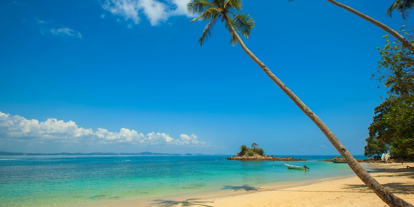 El Cabanyal Beach is one of the most vibrant beaches with green coconut palms.