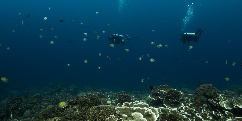 Stunning limestone cliffs, turquoise waters, and vibrant marine life.