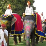 Elephants decorated with ornaments during the Elephant Festival in Jaipur, Rajasthan.