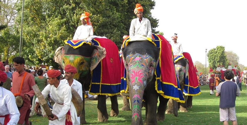 Elephants decorated with ornaments during the Elephant Festival in Jaipur, Rajasthan.