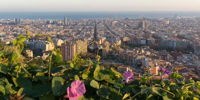 The view from Bunkers del Carmel - Enjoy A Rooftop Sunset At Bunkers Del Carmel