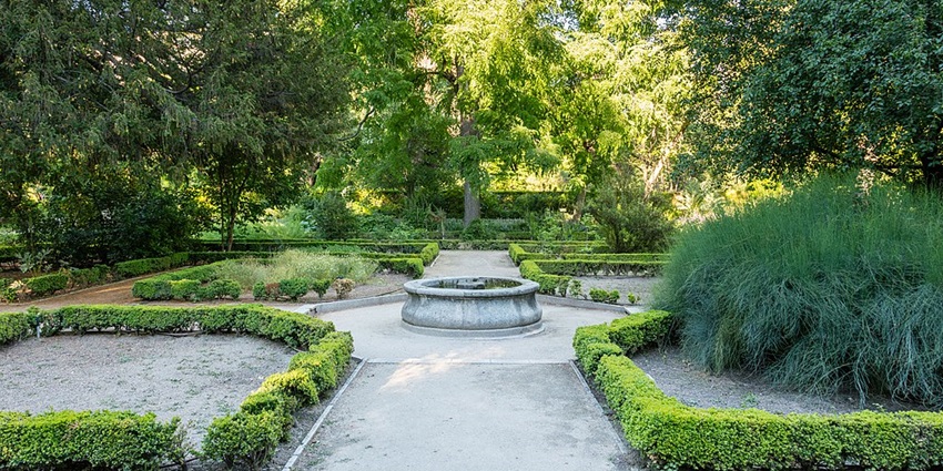 Witness Madrid's autumn colors in full bloom at the serene Royal Botanic Garden.