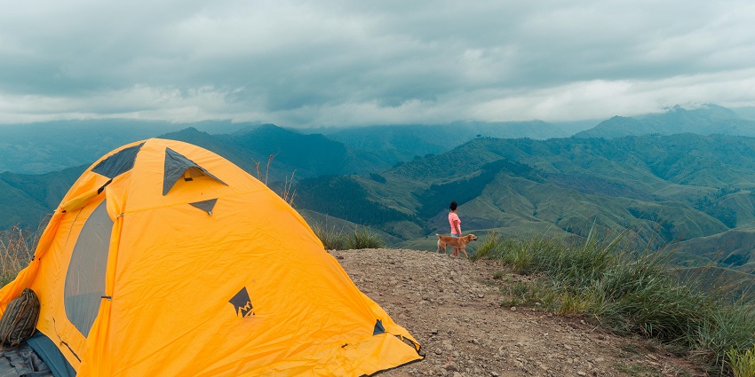 An image of trekkers camping under the stars in the Nilgiri Hills, surrounded by nature.