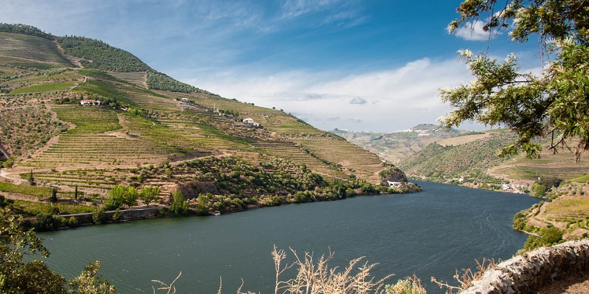 The vineyards of the Douro Valley, wine tasting here is among top things to do in Portugal