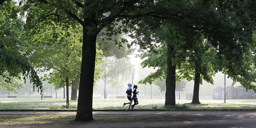 An image of people jogging on a trail with greenery around similar to Ulsoor Lake
Viewers of this file can see comments and suggestions