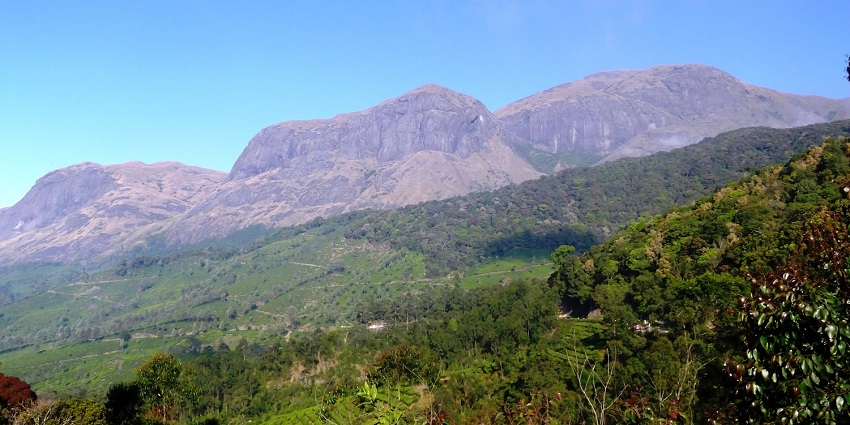 Lush green valley in Eravikulam National Park near Munnar in Kerala.