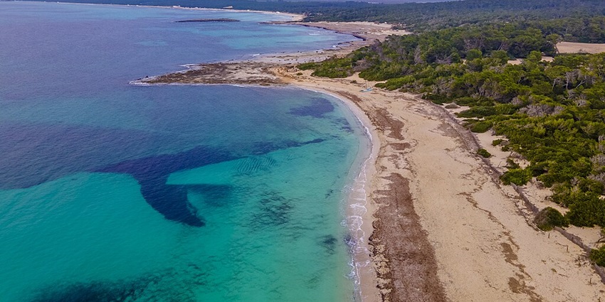 Bird eye view of Es Trenc with turquoise water and golden sand, among beaches in Majorca Spain