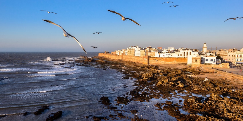 Essaouira is among the famous Morocco beaches with windy shores and historic charm at this coastal escape.