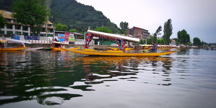 Shikara boats on Dal Lake in January with roofs on boats, and buildings in the back