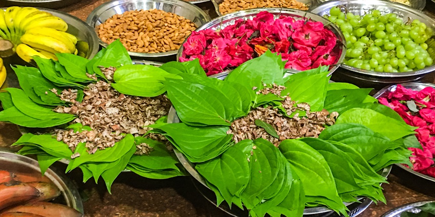 A picture showing community gatherings with food, music, and dancing during Uttarayan, which is the harvest festival of Gujarat.