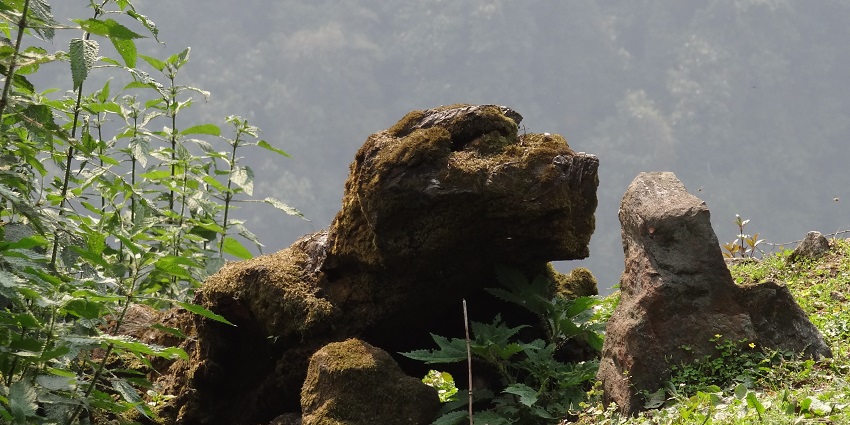 A rock in a route surrounded by greenery and mountains similar to Tsomgo Trekking