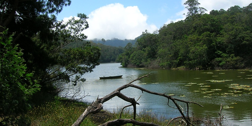 A picture of Berijam Lake with serene waters, one of the best things to do in Kodaikanal.
