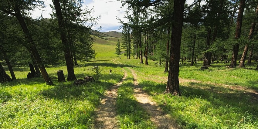 Trekking around the velvet grassy path with a mountainous backdrop under a clear sky.
