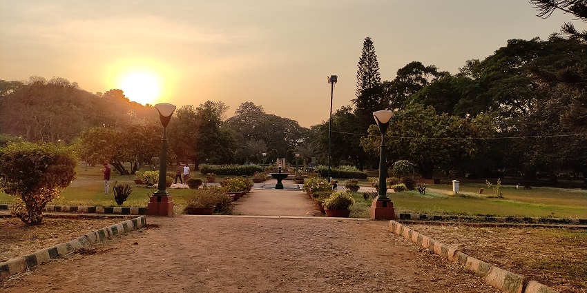 The picture was taken during the sunrise in the Lalbagh Botanical Garden in Bangalore.