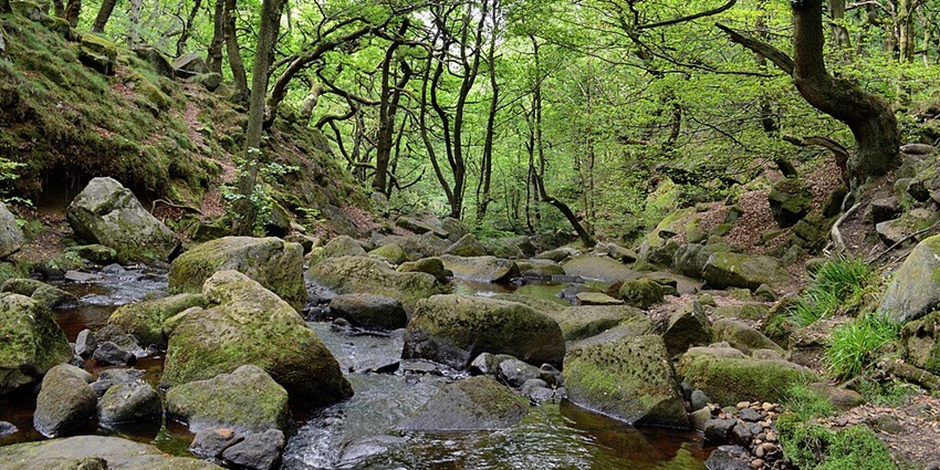 Walk through enchanting woodlands, rocky streams, and picturesque landscapes in the Peak District