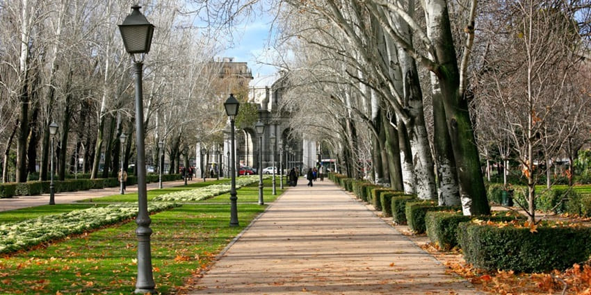 An image of the autumn environment of Retiro Park, near Prado Museum located in spain