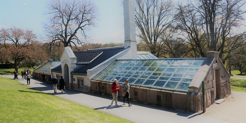 An image showing the greenhouse botanical garden in Oslo featuring lush greenery and plants