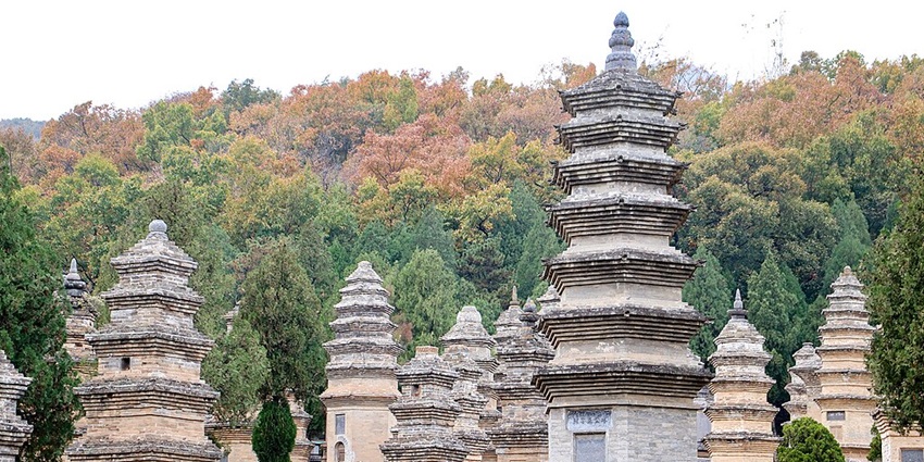 Ancient Pagoda Forest with stone pagodas of varying sizes, surrounded by lush green trees