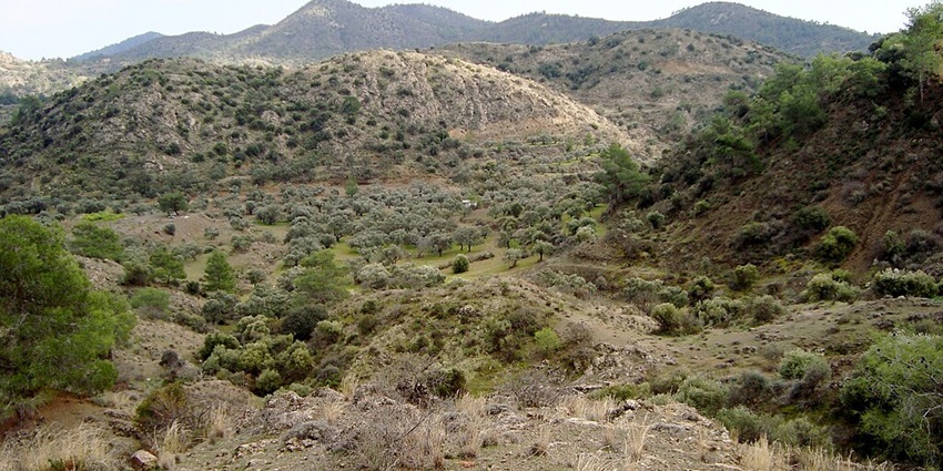 Experience authentic Cypriot village life.