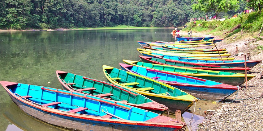 An image of different-coloured boats parked near a sandy shoreline surrounded by greenery