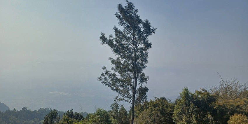 A picture of Yercaud Hills, which offers some of the best things to do in Salem.