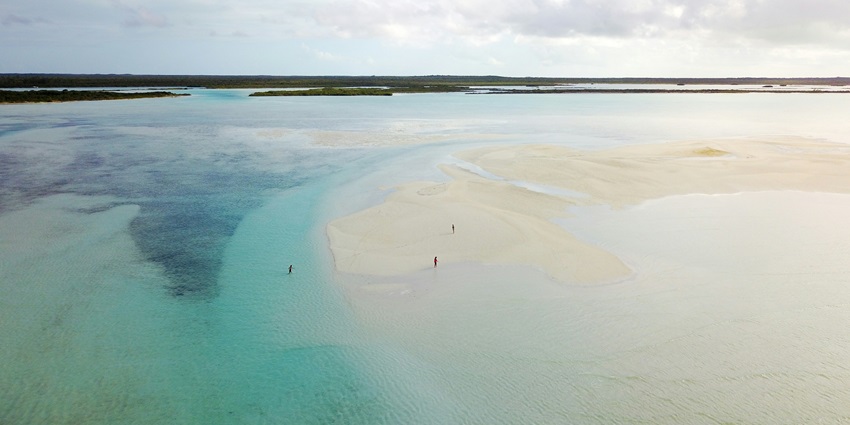 Bahamas Islands with turquoise waters, sandbars, and the famous swimming pigs.