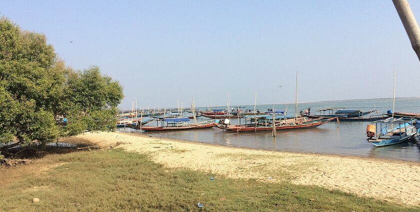 Chilika Lake in Odisha with multiple different coloured boats parked on the sandy shore