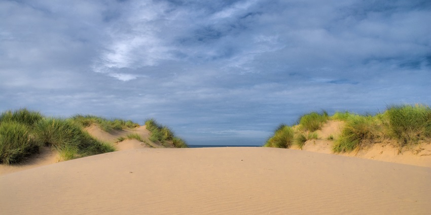 Liverpool beaches feature dramatic dunes, coastal pinewoods, and stunning views in Formby.