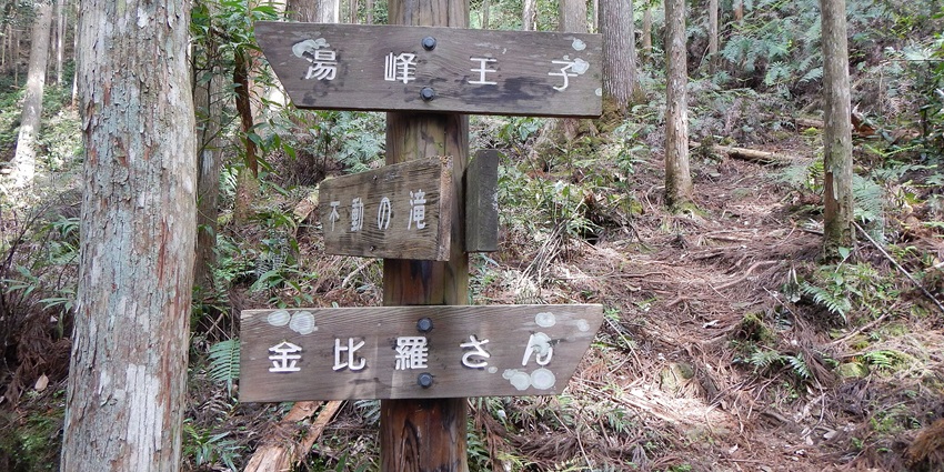 Image of Fudo fall way where you can enjoy the Onsen near a forest area