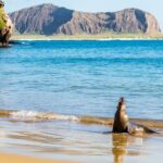 Galapagos National Park with unique wildlife, crystal-clear waters, snorkelling and hiking.