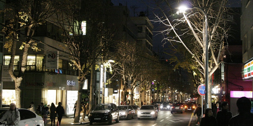 A view of Garosu-gil, a trendy shopping street with boutiques, cafés, and stylish vibes.