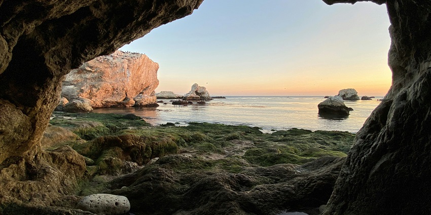 An image of the rocky cliffside with trees and the best of Indian Buddhist caves