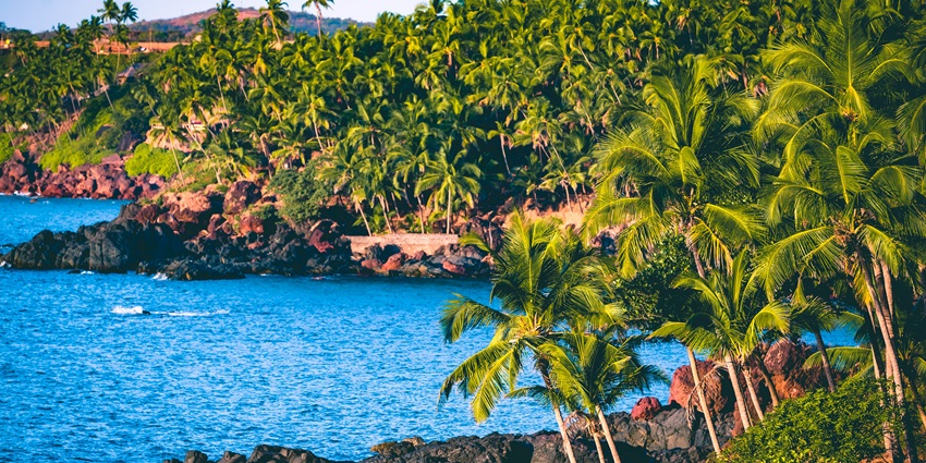 An image showing Colva Beach in Goa, a popular choice among places to visit in India for couples.