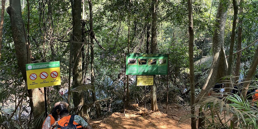 An image of Goa Jungle Adventure Park, an adventure park in India with various activities.