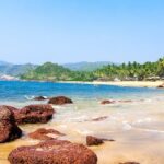 Palm trees line the beautiful Cola Beach situated in Southern Goa, India.