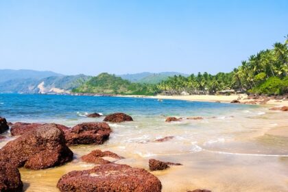 Palm trees line the beautiful Cola Beach situated in Southern Goa, India.