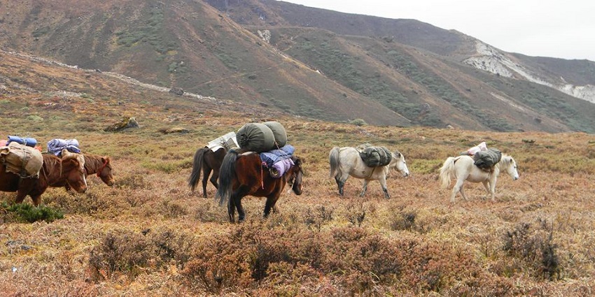 An image of Goecha La Trek, one of the best trekking places in India with Himalayan views