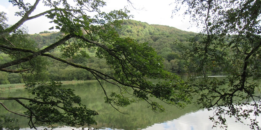 View of the Gormire Lake from the Whitestone Cliff with rocky cliff, dense trees and open fields