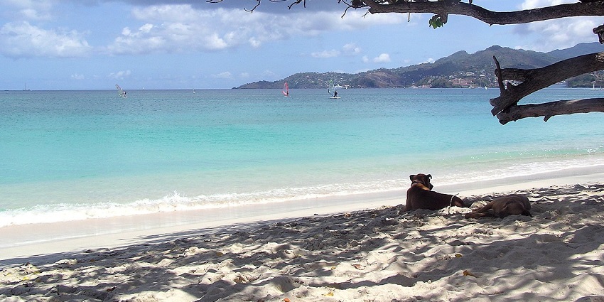 A scenic image of Grand Anse beach in Seychelles, with soft sand and calm, clear water