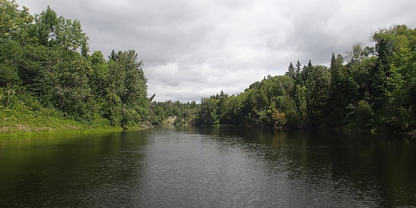 Calm waters of the Sturgeon River reflecting the surrounding greenery on the river.